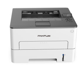 Printer Pantum P3010DW