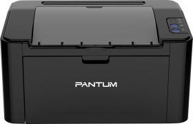 Printer Pantum P2500